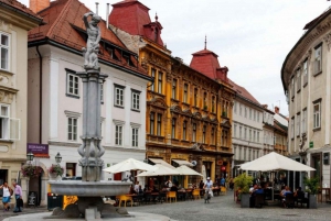 Zagreb: Private Transfer to Ljubljana with Optional Stops