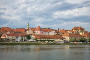 Zagreb: transferência privada para Viena + paradas turísticas + bilhete