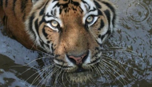 ZOO Ljubljana