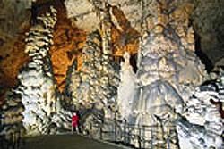 Postojna Cave Attractions