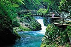 Vintgar Gorge Attractions