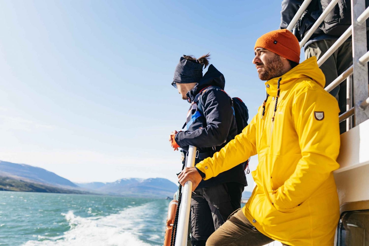 Akureyri: excursão clássica de observação de baleias de 3 horas