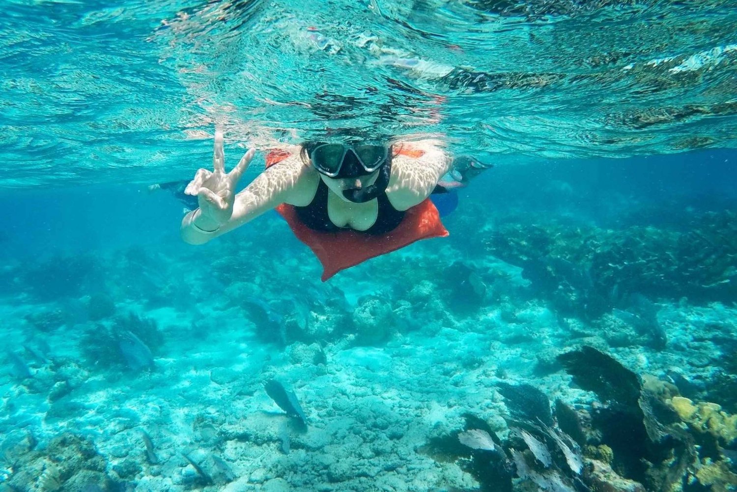 Caye Caulker: Schnorcheln am Belize Barrier Reef an 7 Stopps