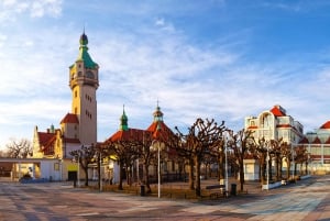 Depuis Varsovie : Visite privée d'une journée à Gdansk et Sopot
