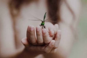 Gdansk, Gdynia, Sopot: Private Photoshoot in Tricity