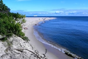 Gdansk Hel Peninsula Private Guided Tour with Cruise or Car