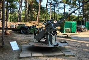 Gdansk Hel Peninsula Private Guided Tour with Cruise or Car