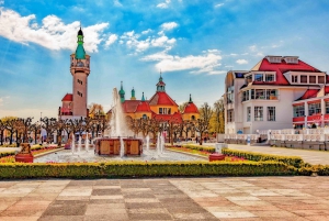 Gdańsk, Gdynia og Sopot: Privat dagstur til højdepunkterne