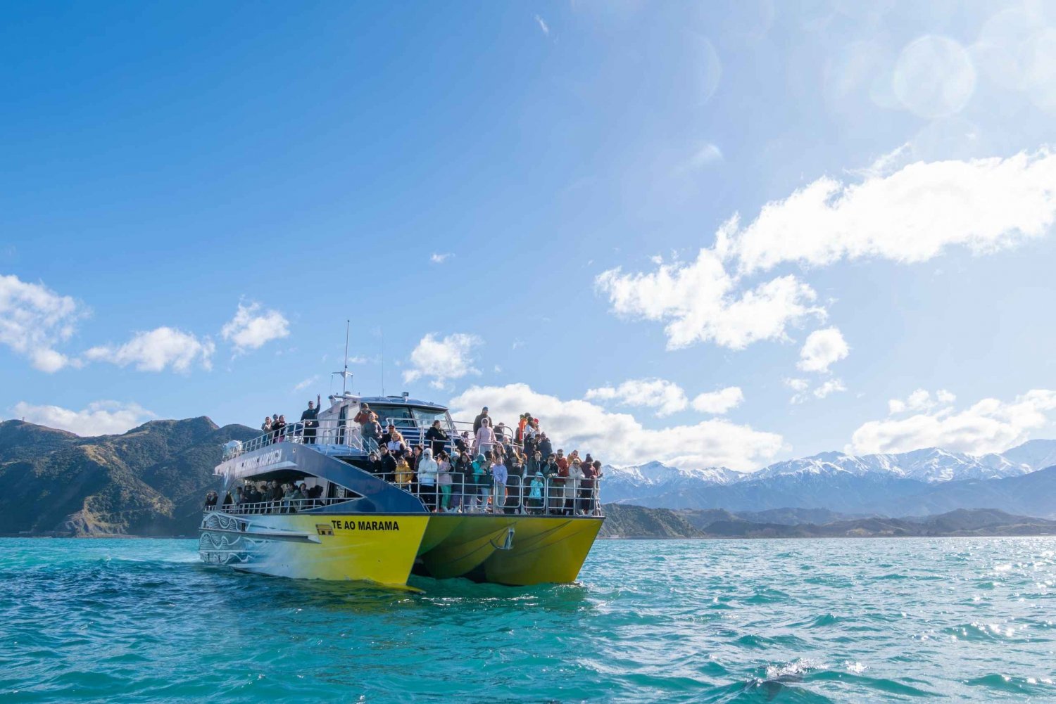 Kaikoura: cruzeiro para observação de baleias