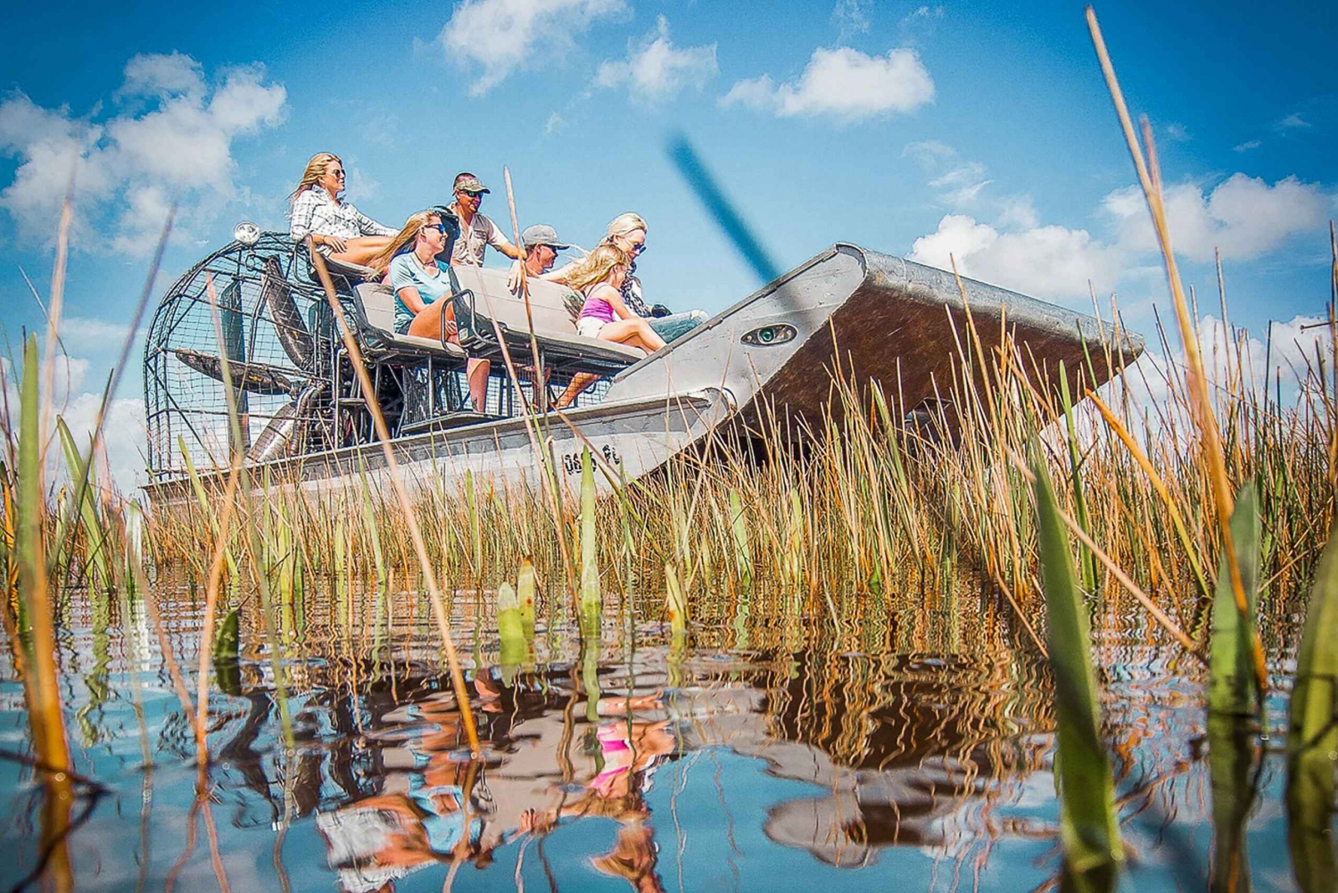 Miami: Everglades National Park Airboat Tour & Wildlife Show