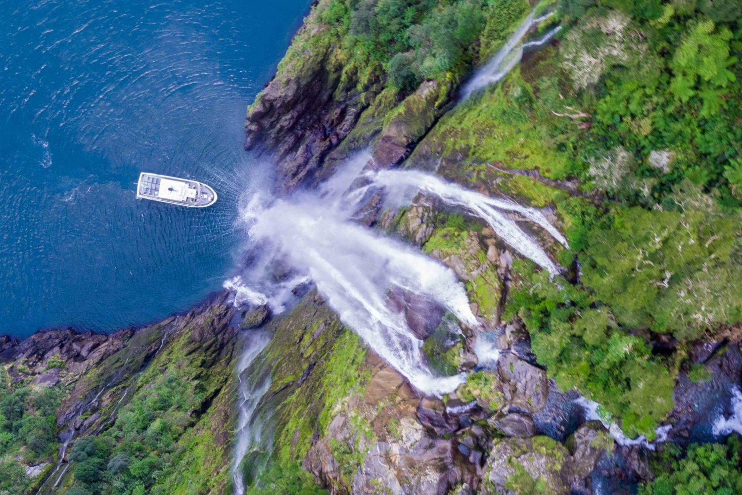 Milford Sound: Cruzeiro em um pequeno barco de luxo