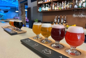 Sopot : visite-dégustation de bière artisanale avec 10 variétés de bière