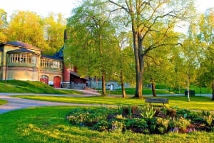Stockholm: 2-Hour Djurgården Sightseeing Tour