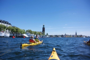 Stockholm: 2-Hour Guided Kayak City Tour & Optional Dinner