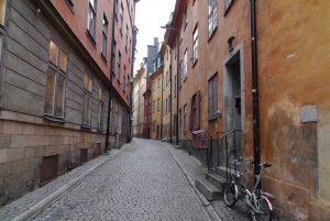 Stockholm: 3-Hour City Tour with Live Guide