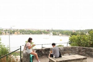 Stockholm la bohémienne : Visite guidée de l'île de Södermalm