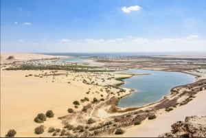 Cairo: El Fayoum, Vale das Baleias e Wadi El Rayan - Excursão de 2 dias