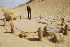 Cairo: El Fayoum, Whale Valley, and Wadi El Rayan 2-Day Tour
