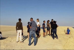 El Cairo: Excursión de 2 días a El Fayoum, Valle de las Ballenas y Wadi El Rayan