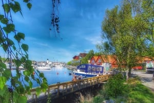 Culinary Food Walk at Royal Djurgården with the Vasa Museum