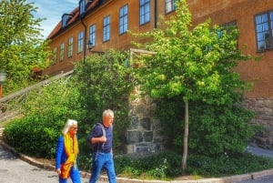 Culinary Food Walk at Royal Djurgården with the Vasa Museum