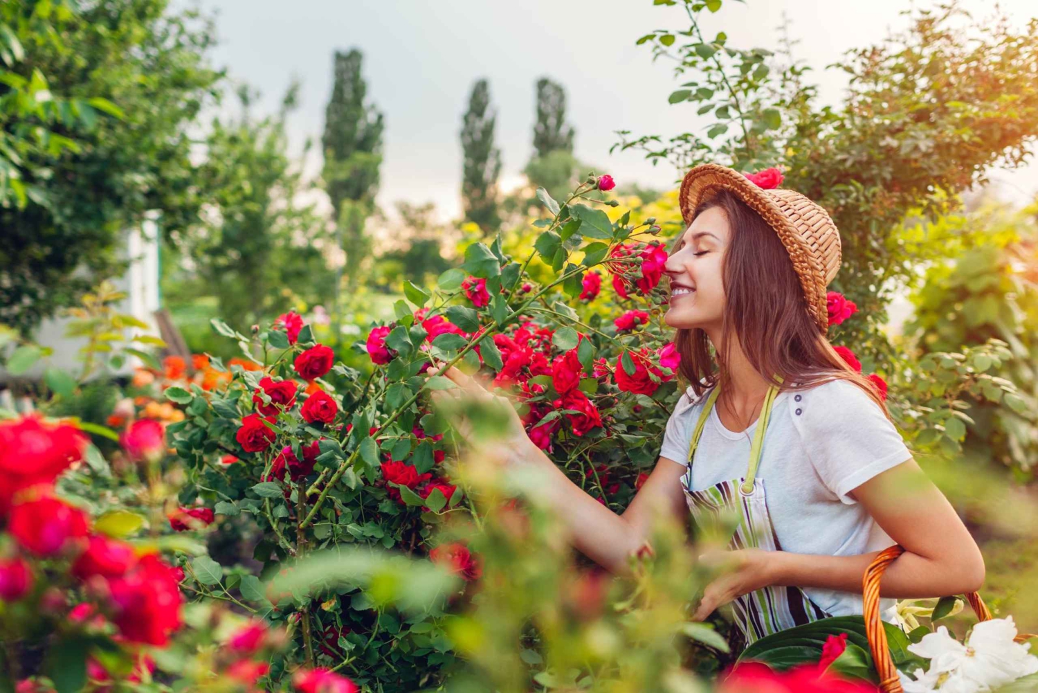Excursão a pé por Djurgården, Skansen e Museu Vasa Estocolmo