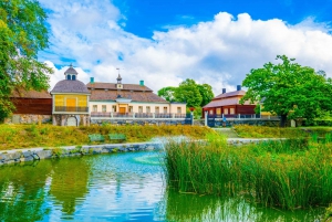Djurgården Tour a pie, Skansen y Museo Vasa Estocolmo