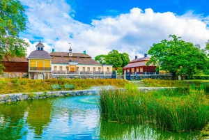 Excursão a pé por Djurgården, Skansen e Museu Vasa Estocolmo