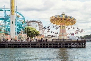 Excursão a pé por Djurgården, Skansen e Museu Vasa Estocolmo