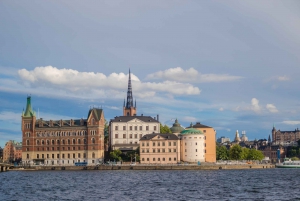 Drottningholm Palace Cruise from Stockholm