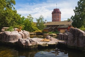 Ekopyöräretki Tukholman vanhaankaupunkiin, Djurgardeniin ja luontoon