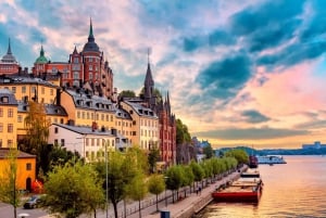 Visite de la vieille ville de Stockholm, de Djurgarden et de la nature en éco-vélo