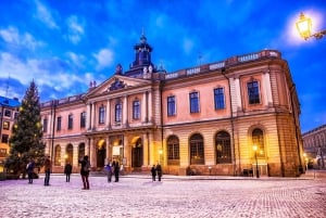 Eco Bike Tour po Starym Mieście w Sztokholmie, Djurgarden, przyroda