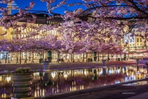 Perhekävelykierros Tukholman vanhassa kaupungissa, Junibackenissa