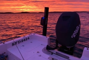 Fishing Adventure Full Day in Stockholm Archipelago w Guide
