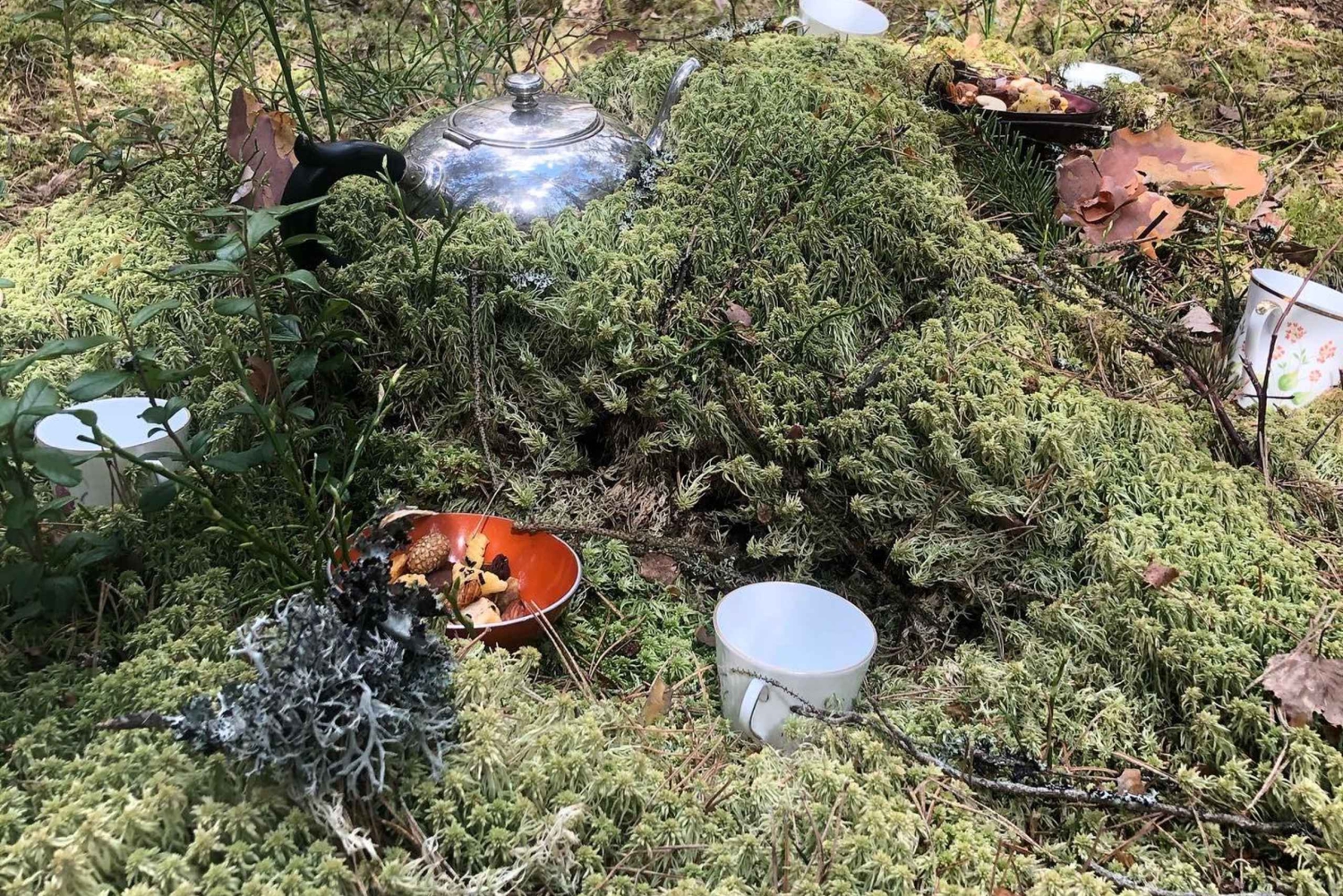 Bagno nella foresta nella natura di Stoccolma con guida certificata