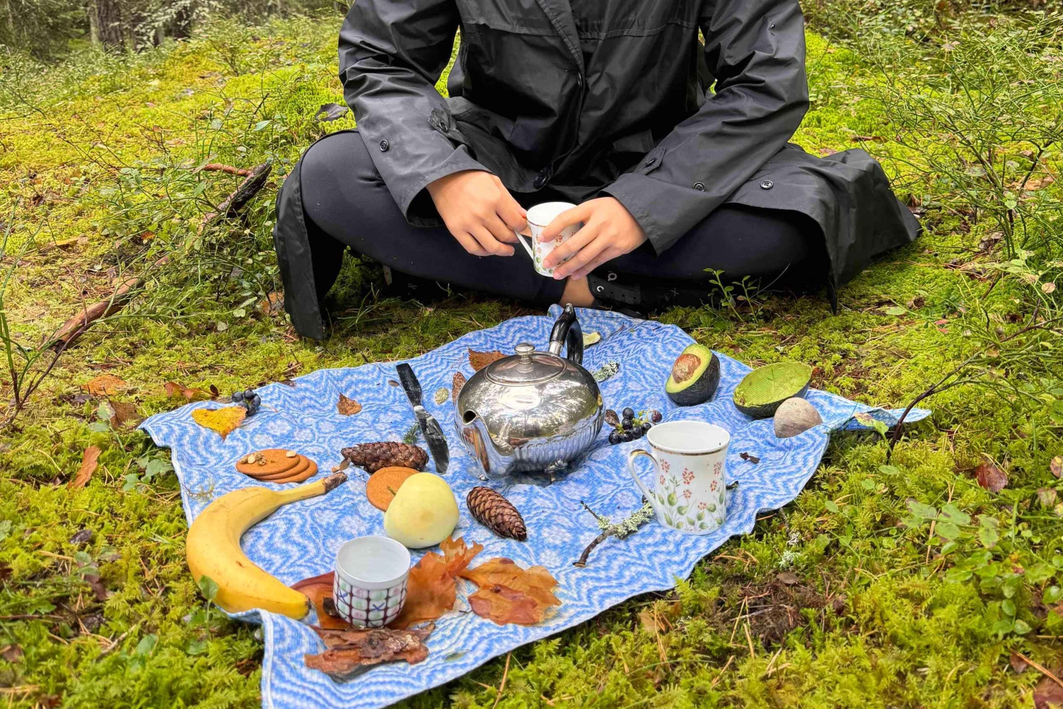 Bagno nella foresta nella natura di Stoccolma con guida certificata