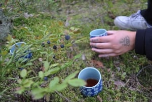 Forest Bathing in Stockholm nature with certified guide