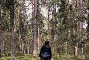 Forest Bathing in Stockholm nature with certified guide