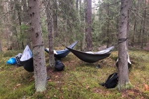 Forest Bathing in Stockholm nature with certified guide