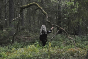 Bagno nella foresta nella natura di Stoccolma con guida certificata