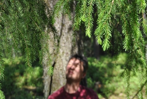 Bagno nella foresta nella natura di Stoccolma con guida certificata