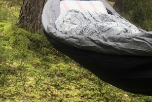 Bagno nella foresta nella natura di Stoccolma con guida certificata