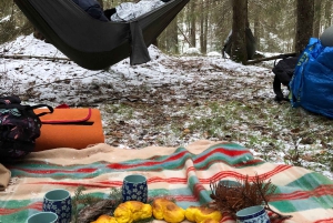 Bagno nella foresta nella natura di Stoccolma con guida certificata
