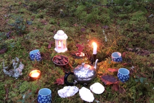 Bagno nella foresta nella natura di Stoccolma con guida certificata