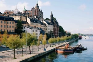 Van Helsinki: overnachtingscruise naar Stockholm met ontbijt