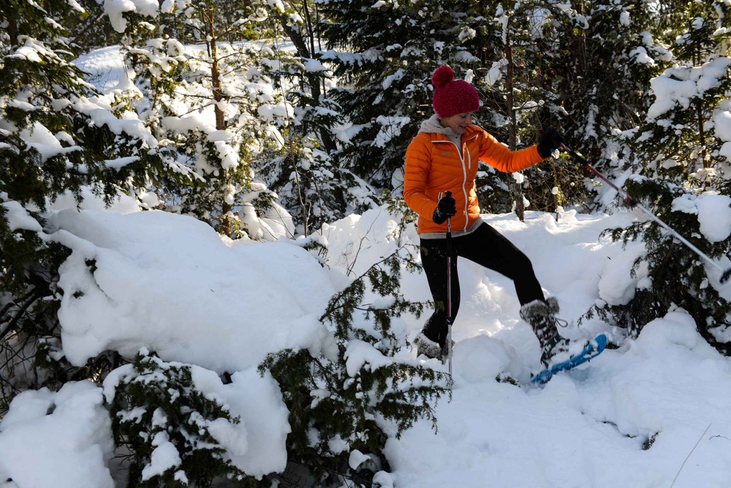 From Stockholm: Snowshoeing in the Wild