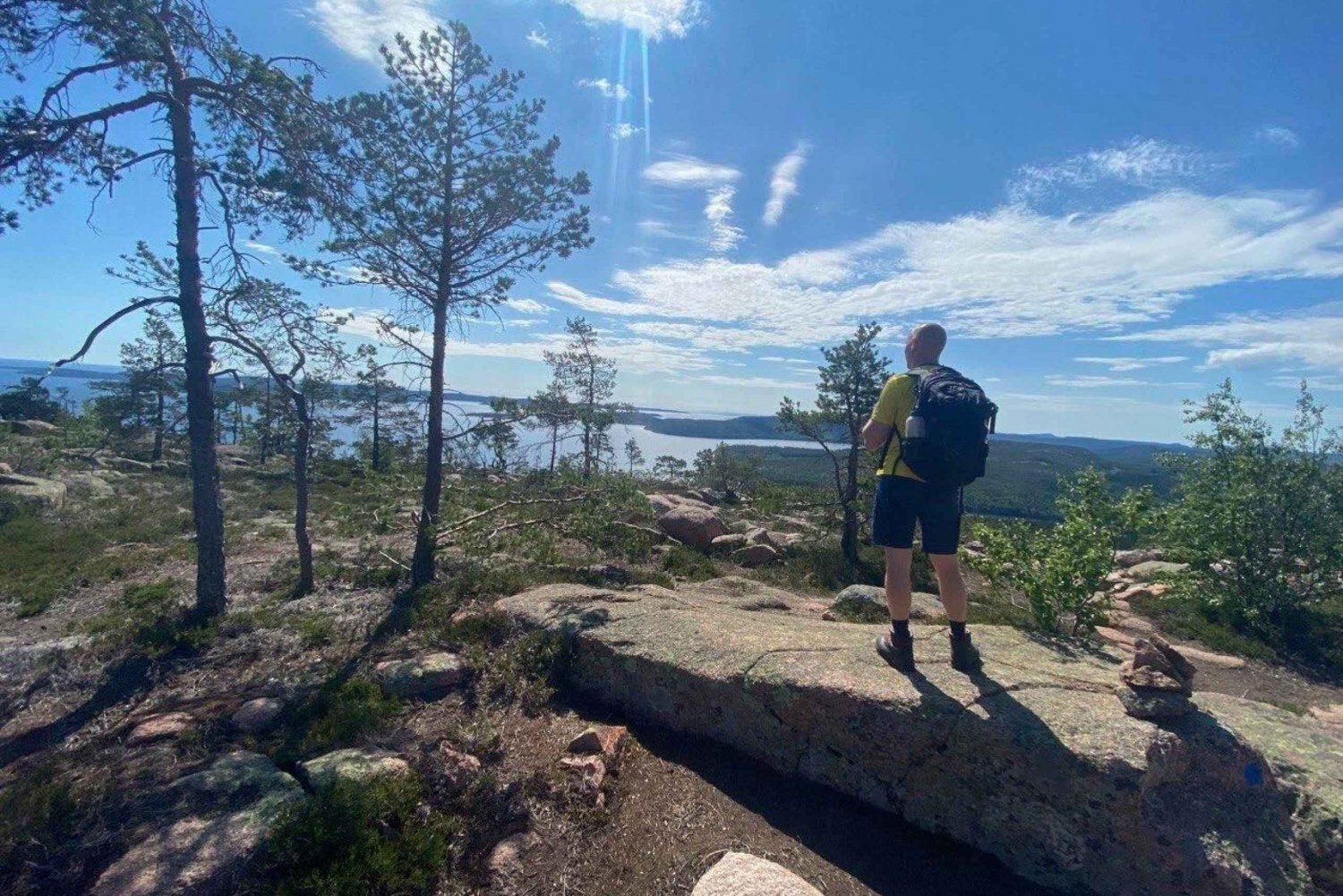 Van Stockholm: 4-daagse wandeltocht in Midden-Zweden