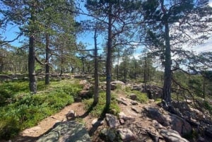 Från Stockholm: 4-dagars vandringstur i mellersta Sverige