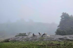 Ze Sztokholmu: Wędrówka przez archipelag do latarni morskiej Landsort